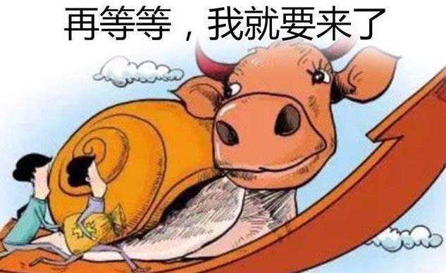 问鼎app网页版V3.3专业版