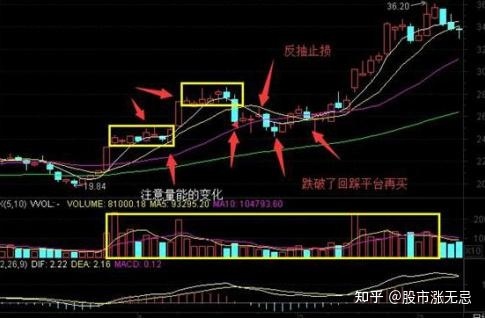 拍拍助理