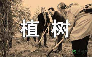 EasySysprep(系统封装工具)