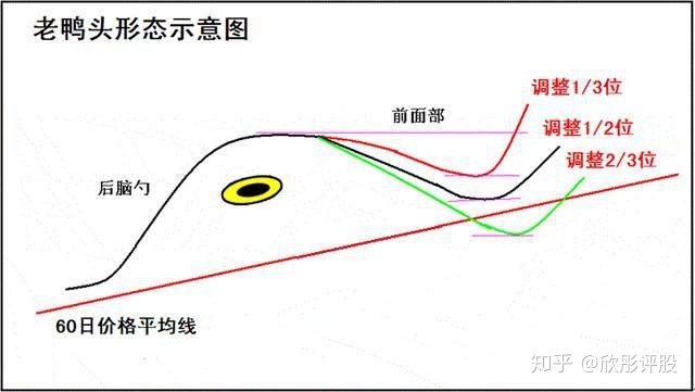 ky体育app官网登录V7.4专业版