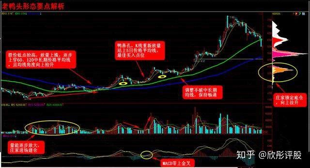 k10appV9.4专业版