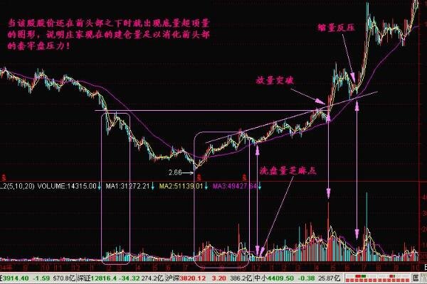 悟空体育app下载