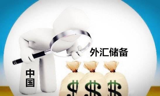 网信彩票appV3.3专业版