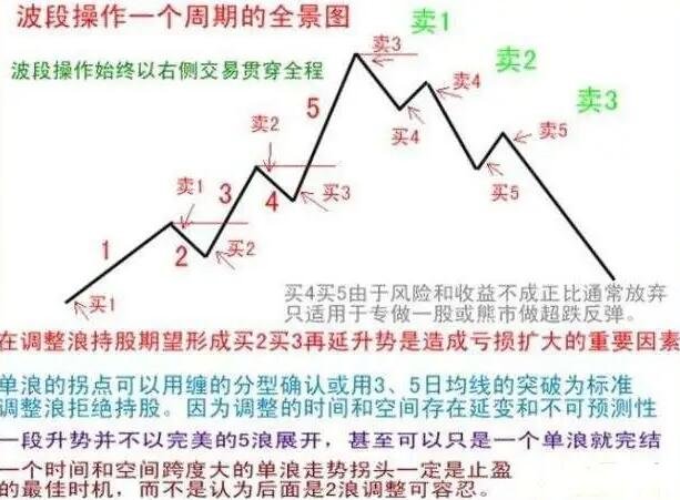 通天报app2025版角色个性化展示