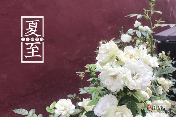开云app官方官网下载2025版角色集结场景