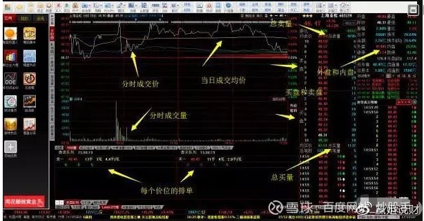 明发国际网页版V7.3专业版