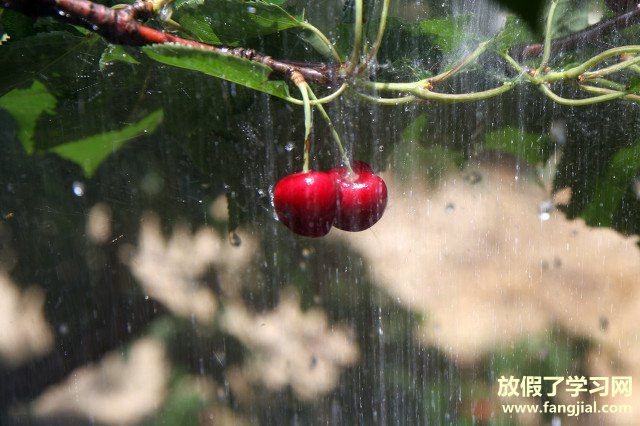 小熊洗车APP