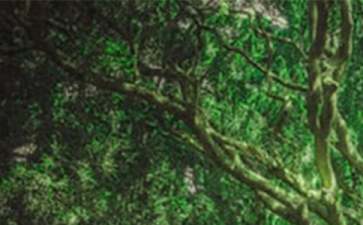 百度贴吧iphone客户端