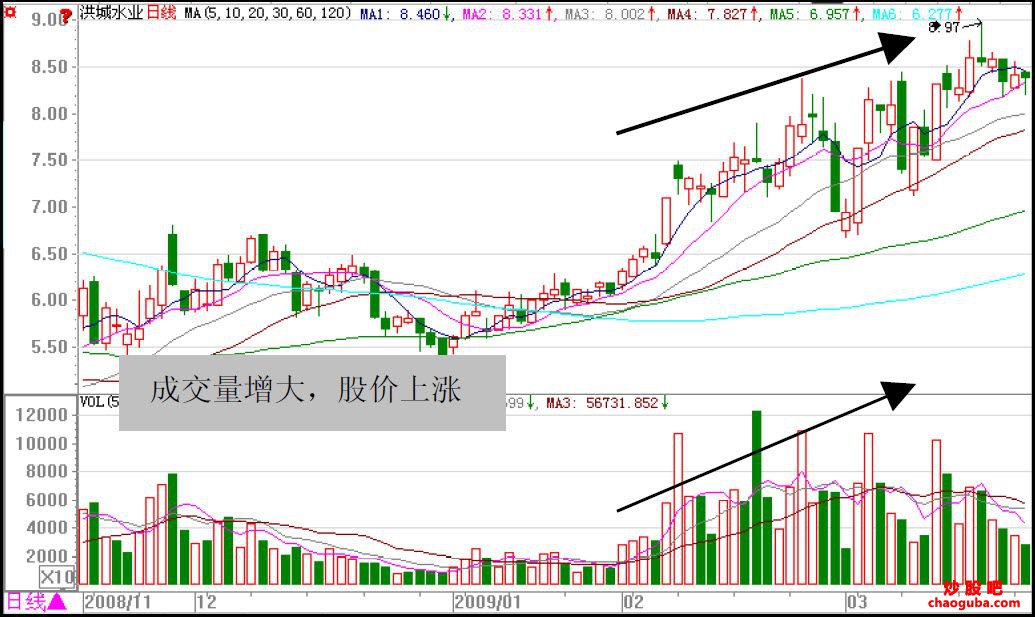 太阳网城appV2.7专业版