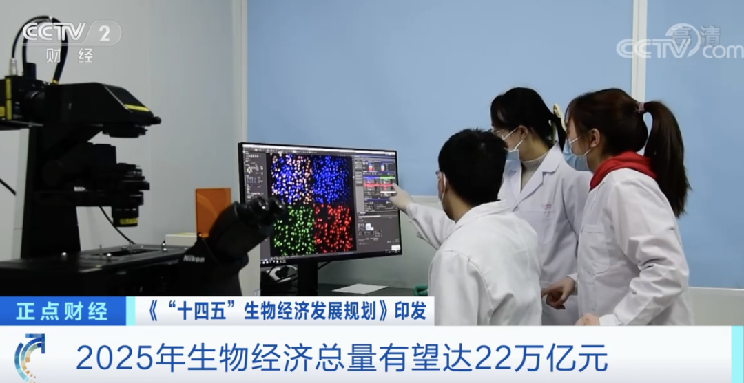 美图秀秀绿色去广告版