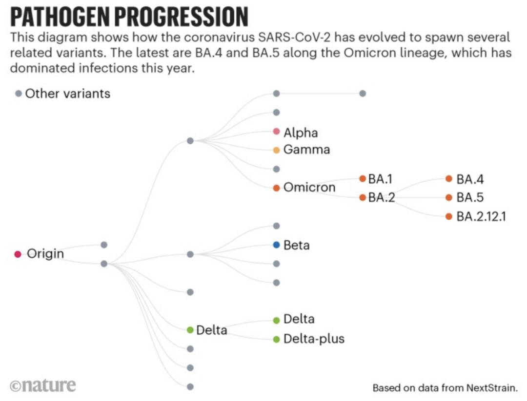 河南汽车维修平台APP