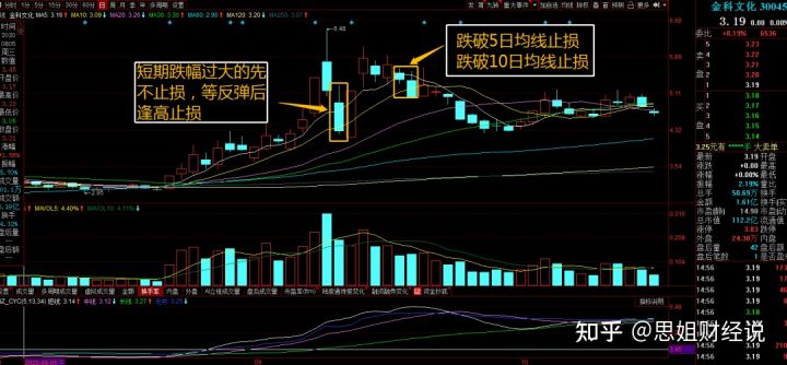开云app官方版在线入口V6.9专业版