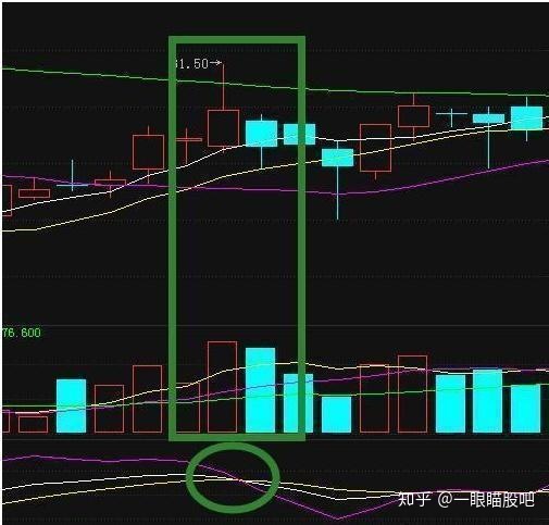 贵州药材APP