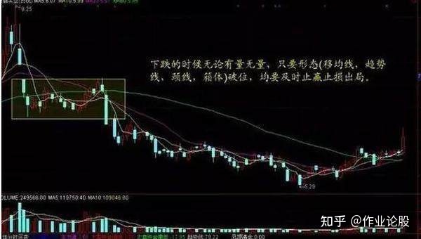 黄金娱乐官网