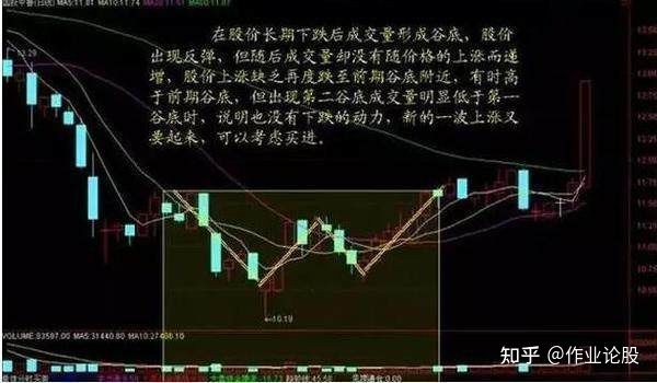 撩娃