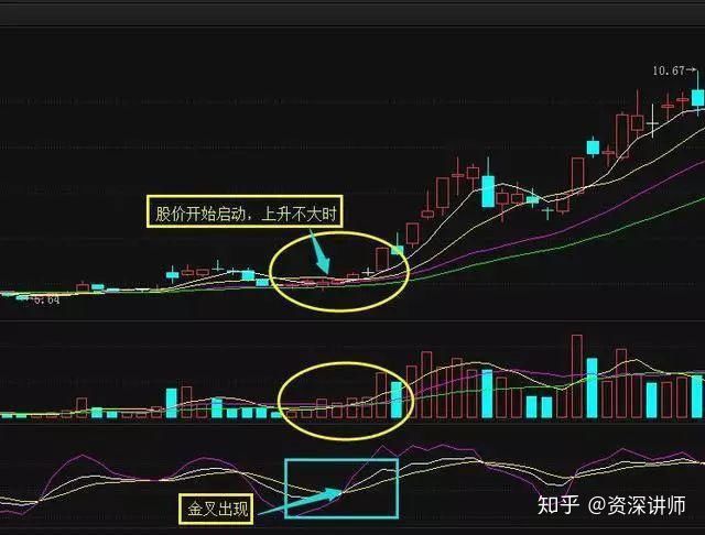 急先蜂商家版手机版