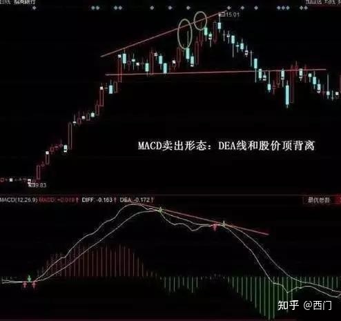 富彩网app