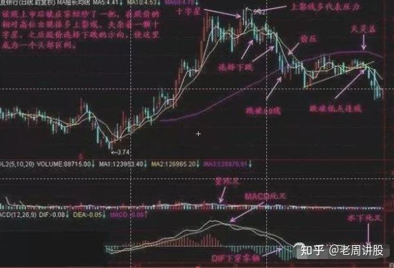 开云app官方体育app下载