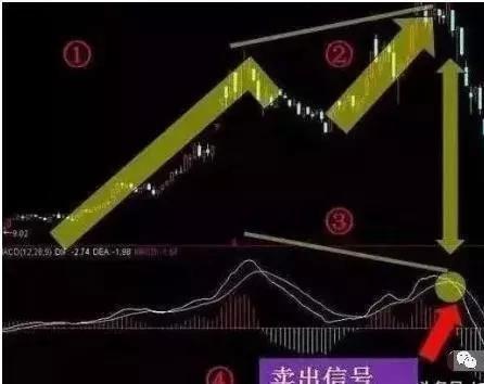 盈优app安卓版二维码