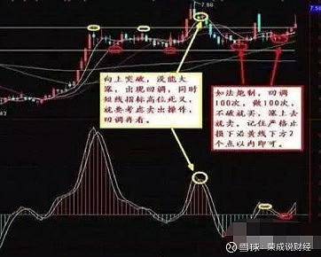 杰宝熊搞笑QQ表情包