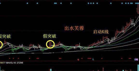 PP电子appV8.2专业版