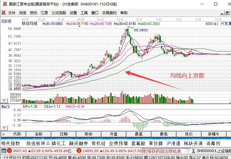 凯撒appV2.9专业版