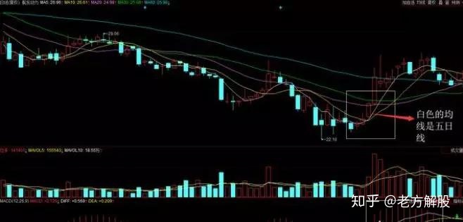 澳门百乐门游戏注册安卓版二维码