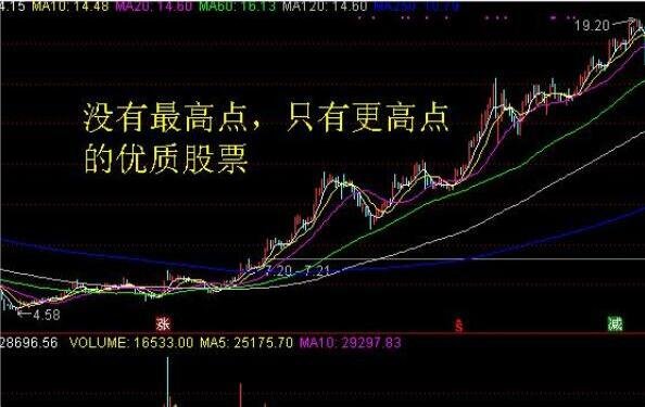 9170官方金沙入口登录appV4.2专业版