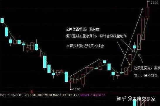 日博电竞app