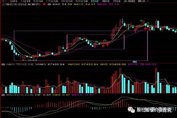多米体育appV8.4专业版