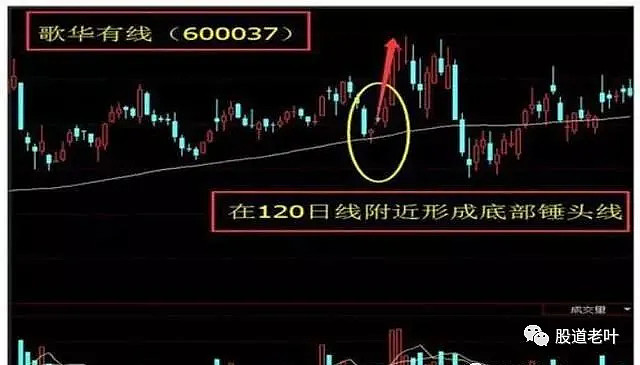 kaiyun体育下载方式安卓版二维码