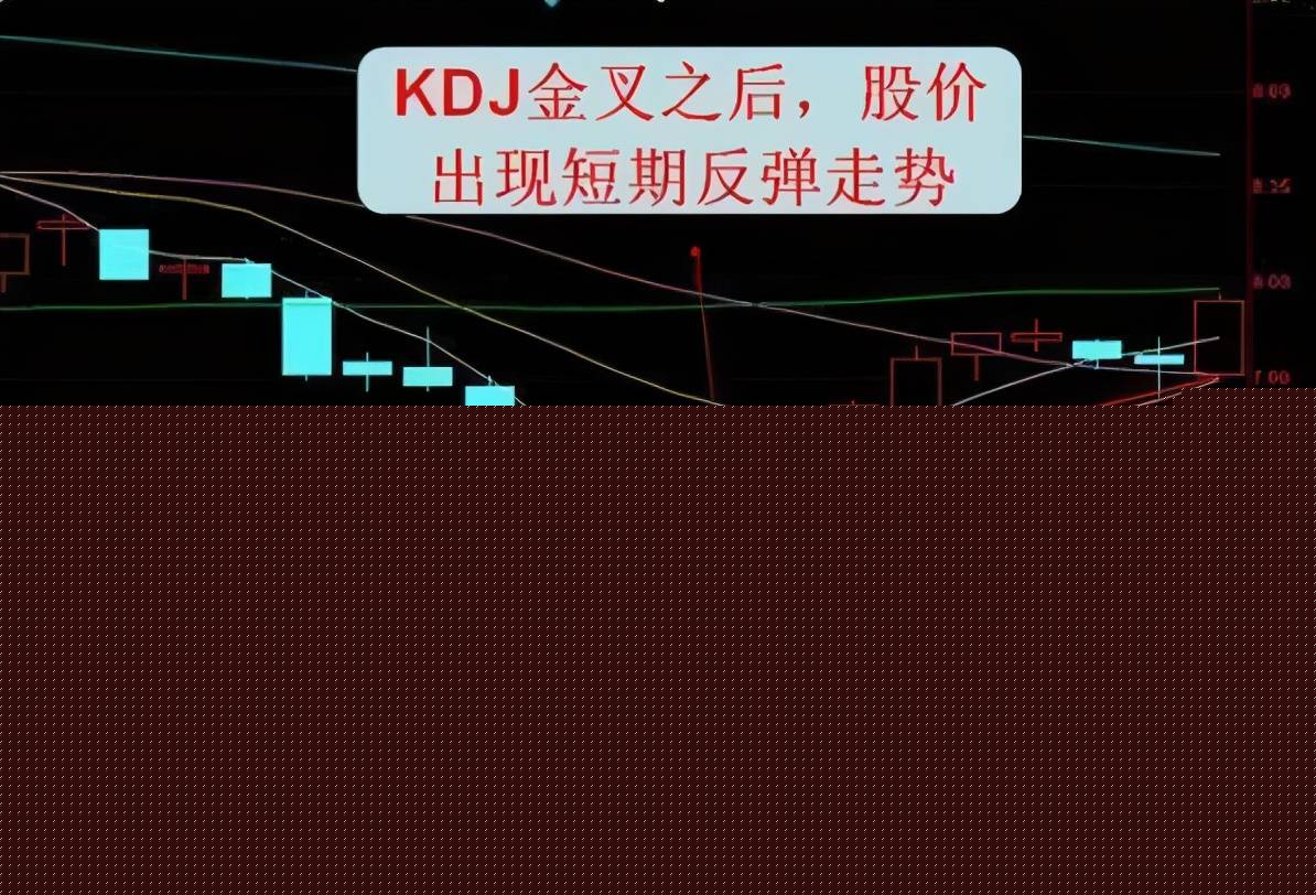 HAHAappV7.4专业版