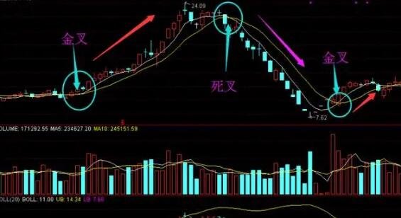 kyyun体育app官网登录入口安卓版二维码
