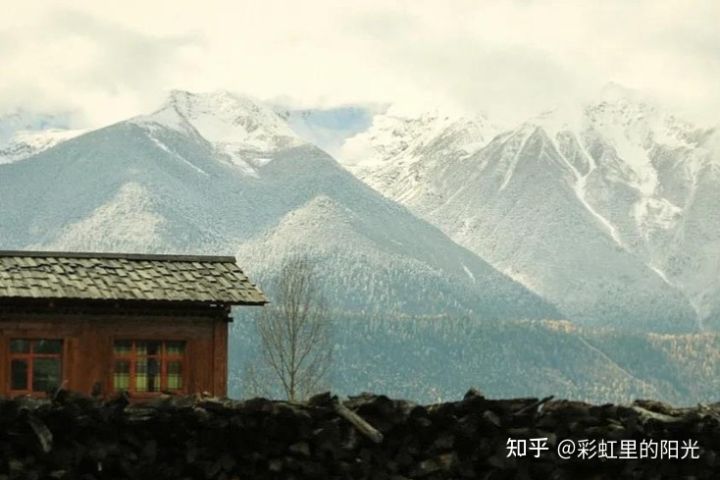 贵州药材APP