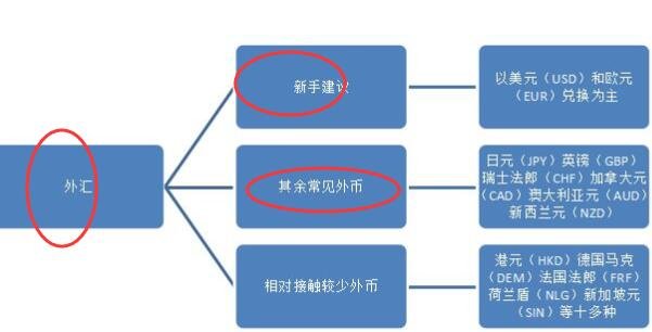 贵州药材APP