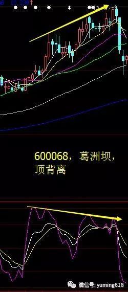 球探比分app 2025最新版 游戏胜利画面展示