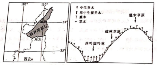eman安卓版