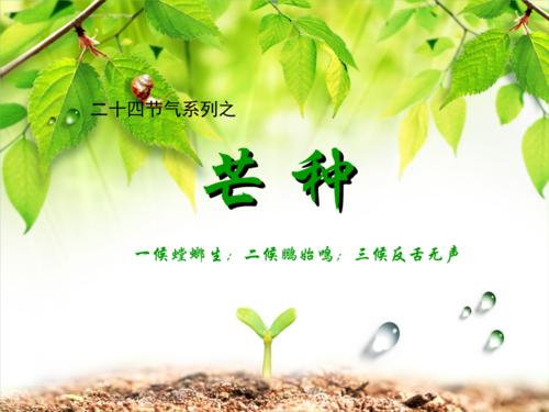 河南汽车维修平台APP