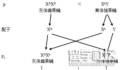 雷霆赛车 免费版