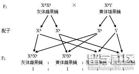 大神娱app安卓版二维码
