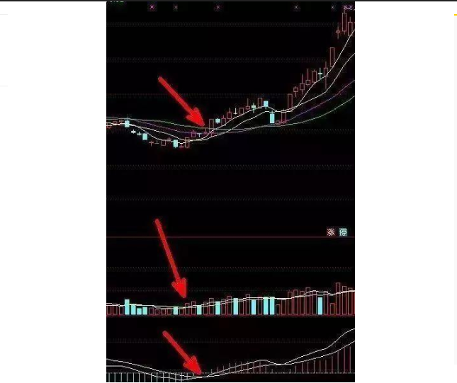 金年会体育官网入口V5.2专业版