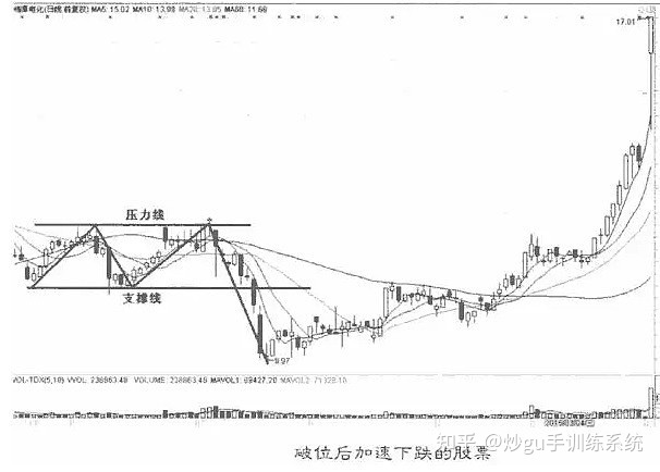金年汇app2025最新版新时装展示