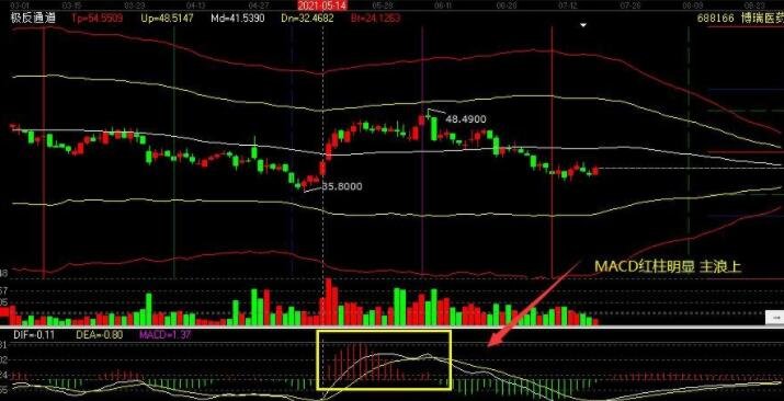 乐鱼体育app2025版与其他卡牌游戏对比