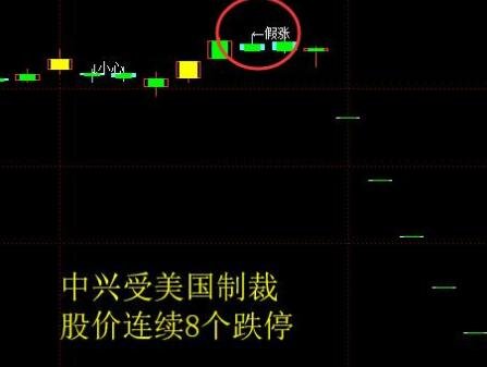 手机彩票appV1.4专业版
