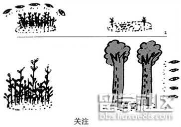 大发app唯一官网地址V2.1专业版