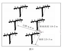 太阳网城app2025最新版团队合作救援场景