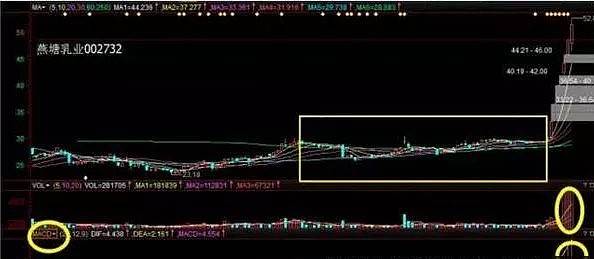 开云app官方在线入口2025版高清画面与武器展示