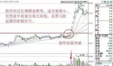 滚球娱乐appV5.9专业版