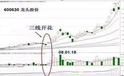 Puppy Linux中文版