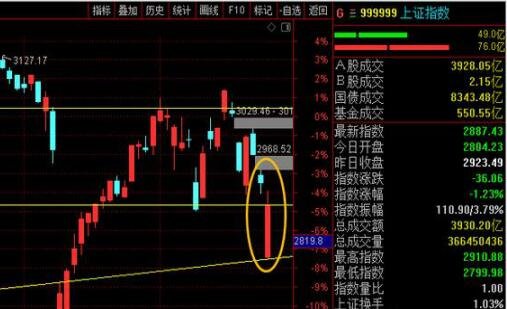 贵州药材APP